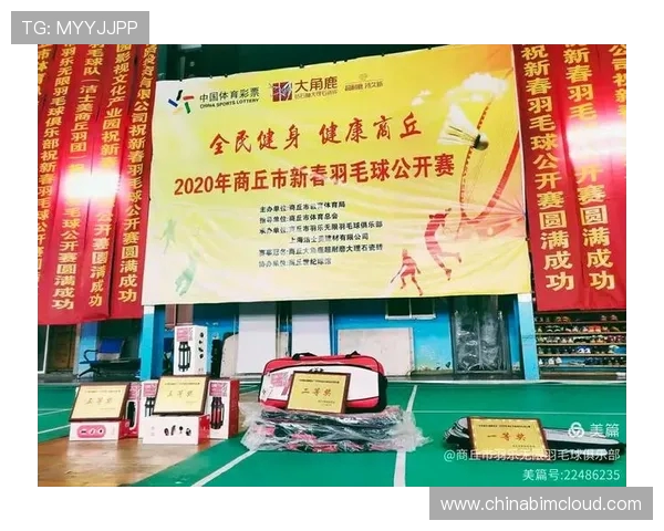 杨丽专访：探寻羽毛球冠军背后的成功秘诀与奋斗历程